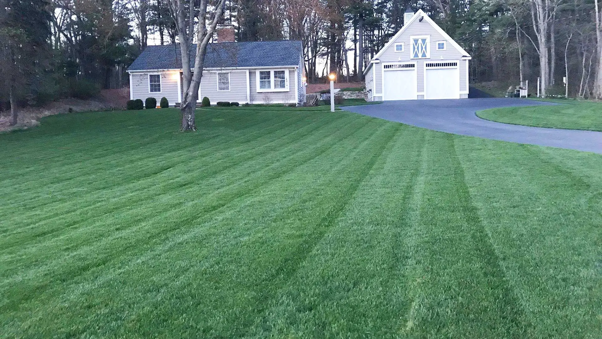 A happy, healthy lawn in Concord, MA.