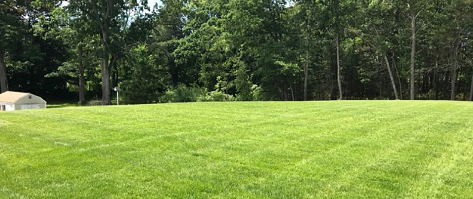 A healthy green lawn after our seeding services in Leominster, MA.