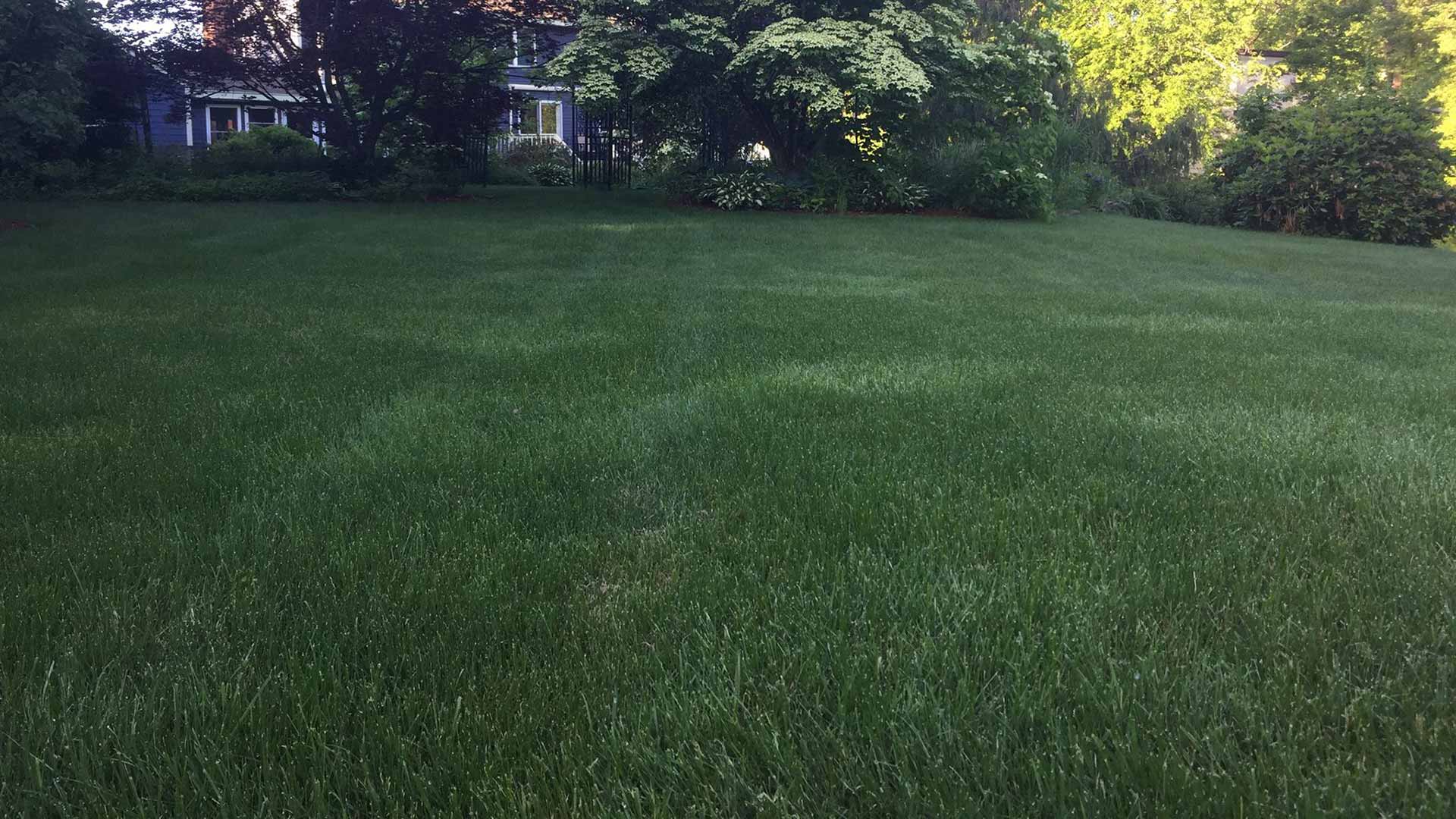 Home near Lancaster, MA with recent mowing and lawn care.