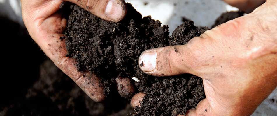 What Can A Soil Test Tell You About Your Lawn?