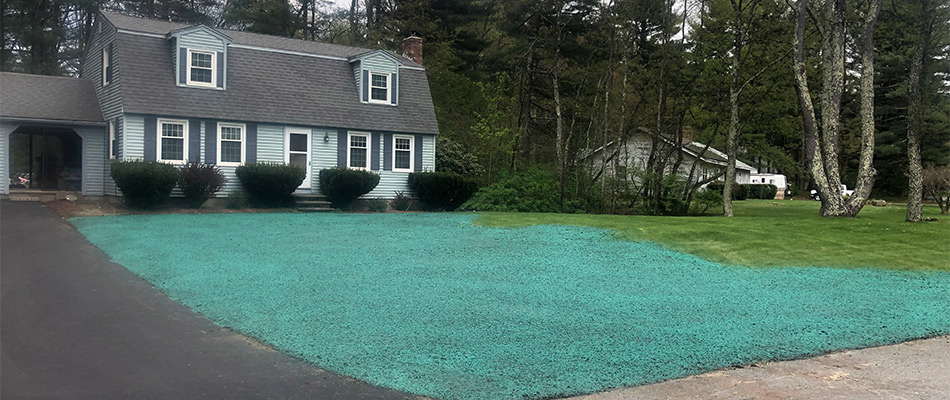 How Hydroseeding Revitalizes Your Lawn