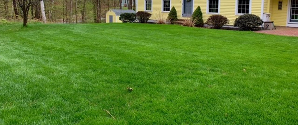 This home's lawn is lush and green thanks to our company's hydroseeding services in Leominster, MA.