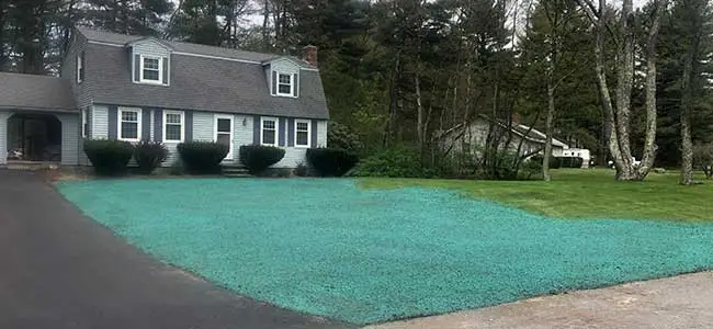 A hydroseeded lawn in Leominster, MA.