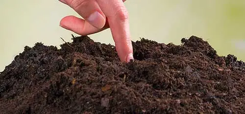 Soil in Concord benefits from soil testing to measure the level of nutrients in it.
